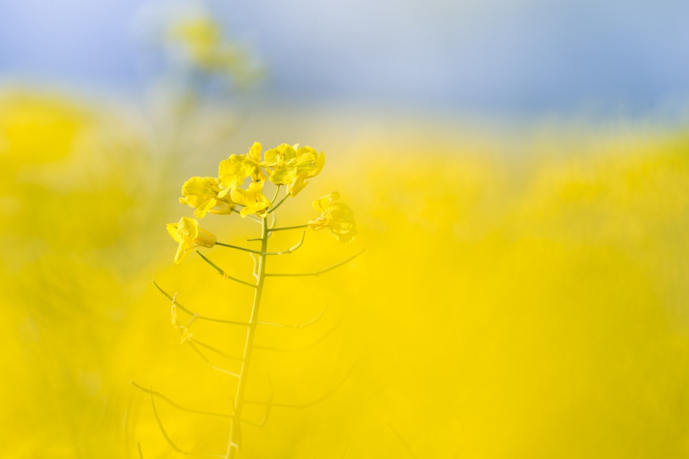 11. Platz Robert Seitz